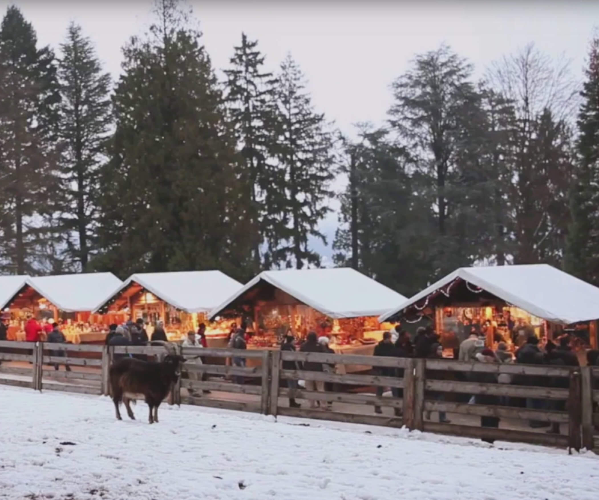 Video - Mercatino di Natale Levico Terme